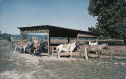 Pony Riding Ring General Butler State Park Carrollton, KY Postcard Postcard Postcard