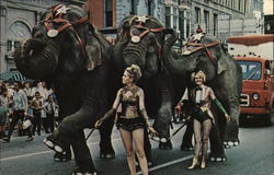 Elephants on Parade Postcard
