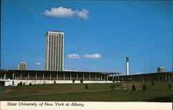 State University of New York at Albany Postcard