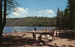 Pinecrest Lake Postcard