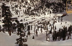 Panoramic View of Valley Floor Squaw Valley, CA Postcard Postcard Postcard