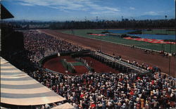 Hollywood Park Racetrack Postcard