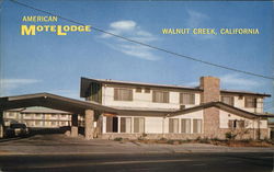 American MoteLodge Postcard