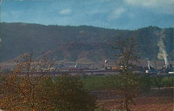 Masonite Corporation Plant Ukiah, CA Postcard Postcard Postcard