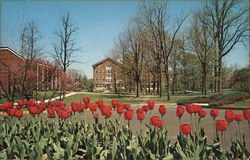 Earlham College - Campus in Spring Richmond, IN Postcard Postcard Postcard