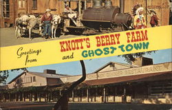 Greetings From Knott's Berry Farm Buena Park, CA Postcard Postcard Postcard