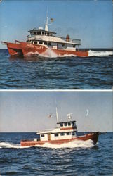 The Hel-Cat Fleet, Montauk Long Island, NY Postcard Postcard Postcard