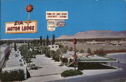 Zia Motor Lodge Albuquerque, NM Postcard Postcard Postcard