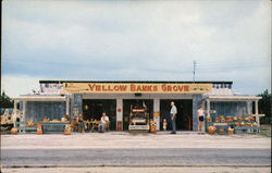 Yellow Banks Grove Largo, FL Postcard Postcard Postcard