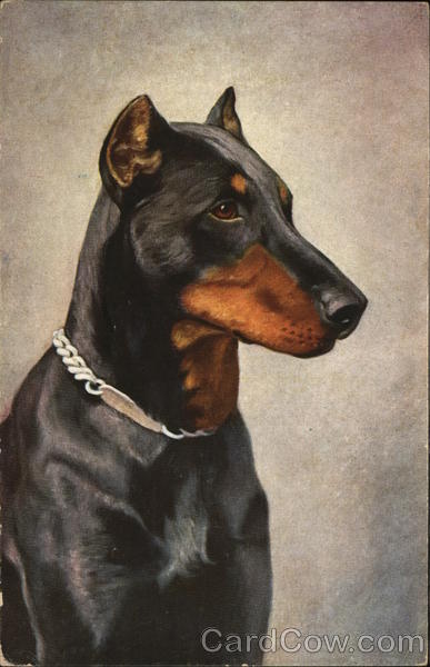 Doberman Pinscher Dogs