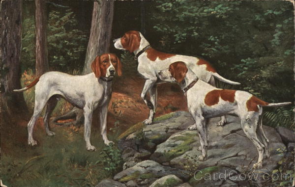 Hunting Dogs in the Woods