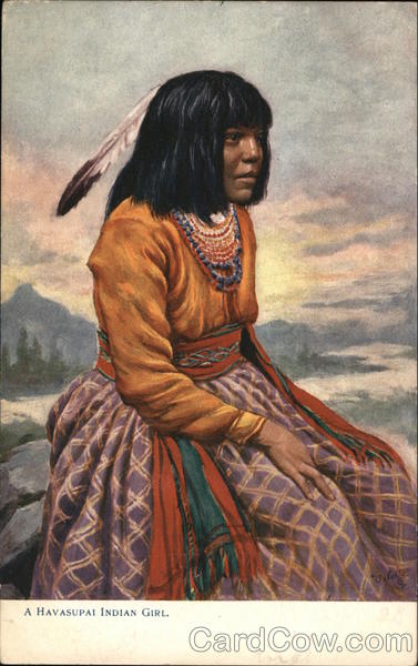 An Indian Woman Sitting on a Rock Native Americana