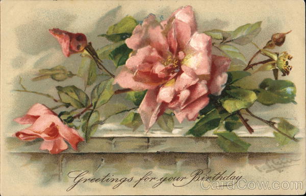 Greetings For Your Birthday - Pink Roses on Stone Ledge