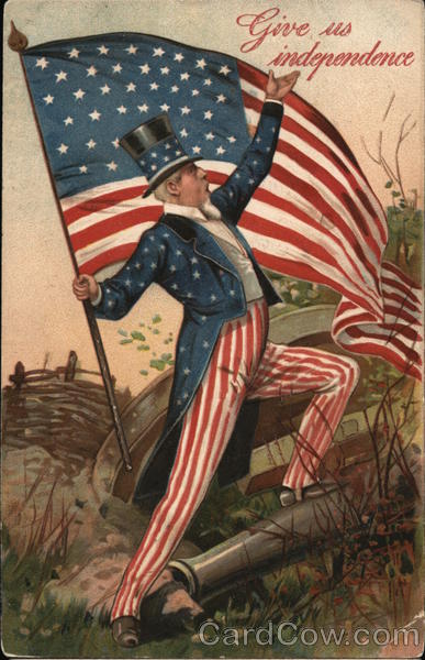 Man Dressed Like the American Flag / Uncle Sam Patriotic