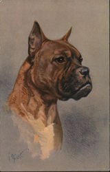 Boxer Dog Postcard