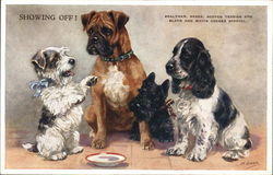 Showing Off! Dogs Postcard Postcard