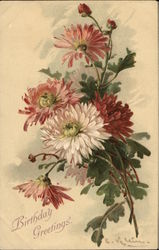 Birthday Greetings - Beautiful Flowers Postcard