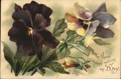 Many Happy Returns of the Day Postcard