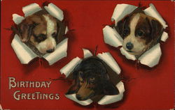 "Birthday Greetings" - Three Pups Poking Heads Through Card "Birthday Greetings" - Three Pups Poking Heads Through Card