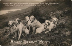Hearty Birthday Wishes Dogs Postcard Postcard