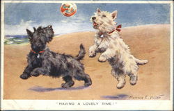 Two Dogs Playing With a Ball Postcard