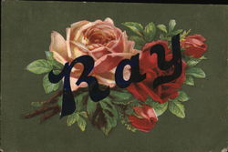 Ray - Picture of a Red and PInk Rose Postcard