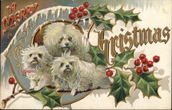 Merry Christmas - Three White Dogs Merry Christmas - Three White Dogs