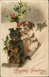 Dogs on a Sled with Holly Dogs on a Sled with Holly
