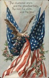 An Eagle and the American Flag An Eagle and the American Flag