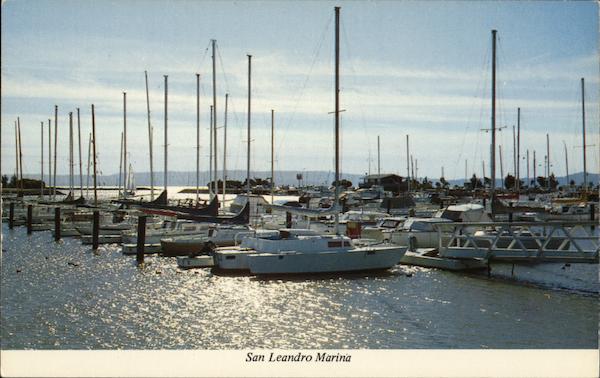 Peaceful Setting at San Leandro Marina California