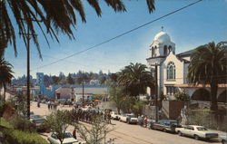 Apple Blossom Festival and Tours Sebastopol, CA Postcard Postcard Postcard