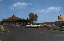 The Ground Cow Postcard