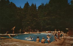 Mount Hermon Swimming Pool Postcard Postcard Postcard