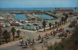 Yacht Harbor Santa Barbara, CA Postcard Postcard Postcard