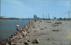 Fishing Area at San Diego Gas & Electric Lagoon Postcard