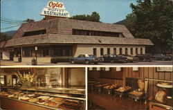 Ogle's Buffet Restaruatn Gatlinburg, TN Postcard Postcard Postcard