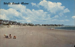 View Along Beach Wells, ME Postcard Postcard Postcard