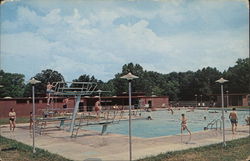 Public Pool, Paris Landing State Park Tennessee Postcard Postcard Postcard