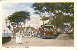 View of The Willows Postcard
