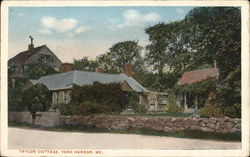 Taylor Cottage Postcard