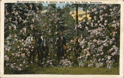 Horse-Bacjk Riders, A Popular Sport in the Blue Ridge Mountains Horse-Bacjk Riders, A Popular Sport in the Blue Ridge Mountains