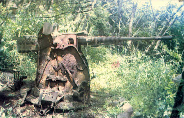 Type 96 Japanese antiaircraft gun Guam Military