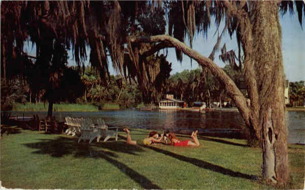 A Picturesque spot on the Homosossa River Homosassa Springs Florida