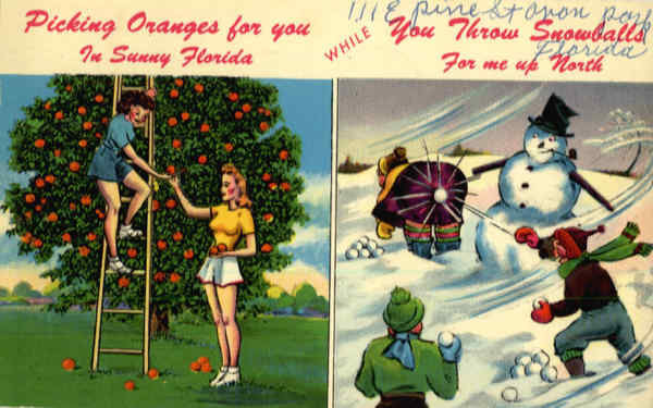 Picking Oranges for you In Sunny Florida While You Throw Snowballs for me up north