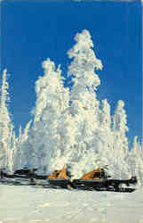 Snowmobiling Postcard