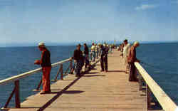 Pier Fishing as enjoyed in all parts of Florida Postcard