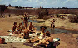 Student Picinic At Crab Orchard Lake Postcard