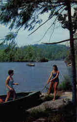 Having Fun at Pennyrile Forest State Park Postcard