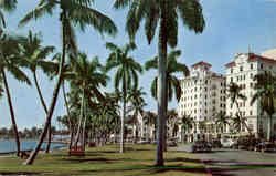 Tropical Flagler Drive Along Lake Worth in The Palm Beaches Postcard
