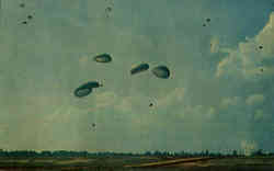 Mass Parachute Jump Postcard